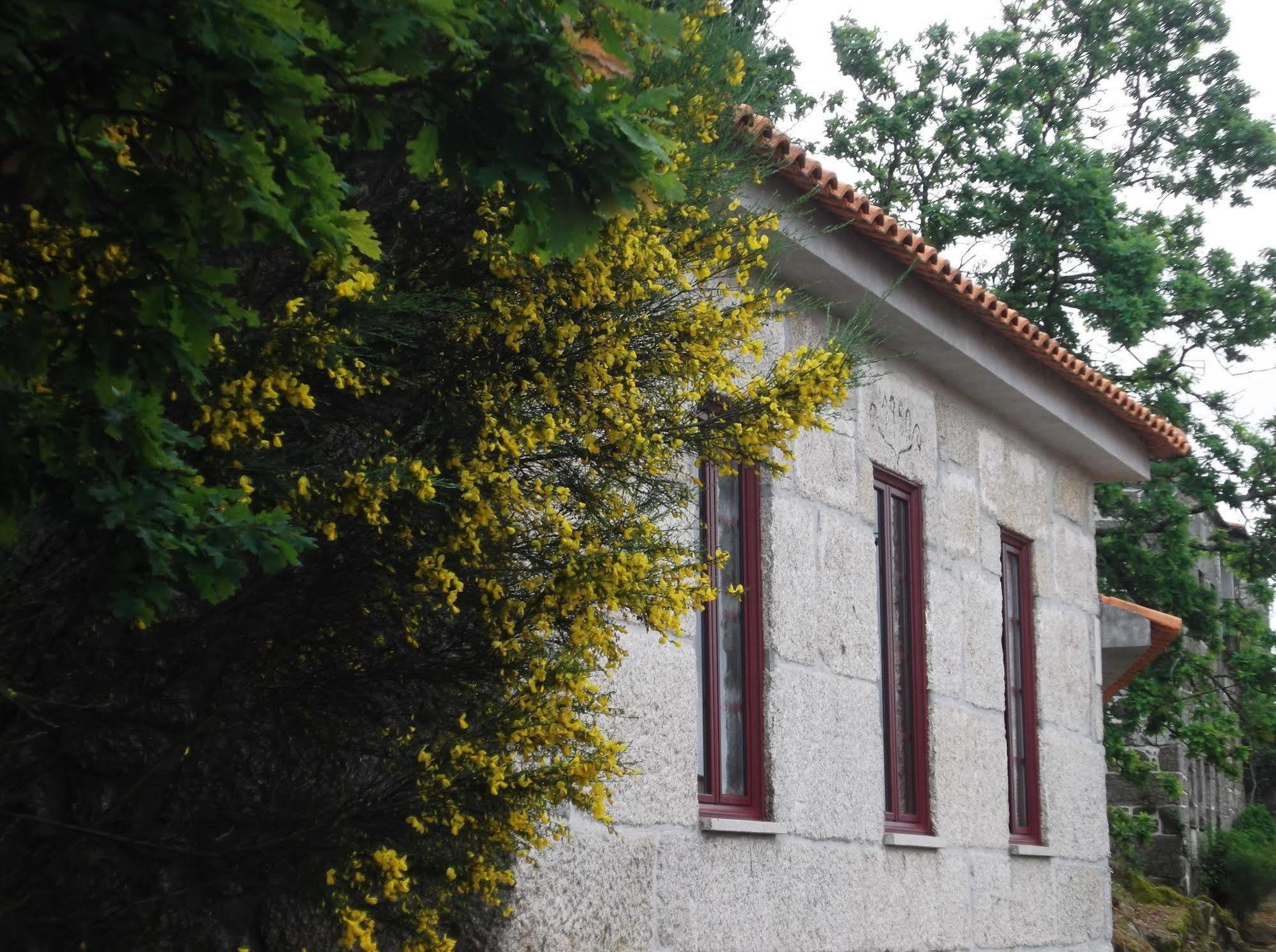 Casa Do Tear Villa Macieira de Alcoba Екстериор снимка